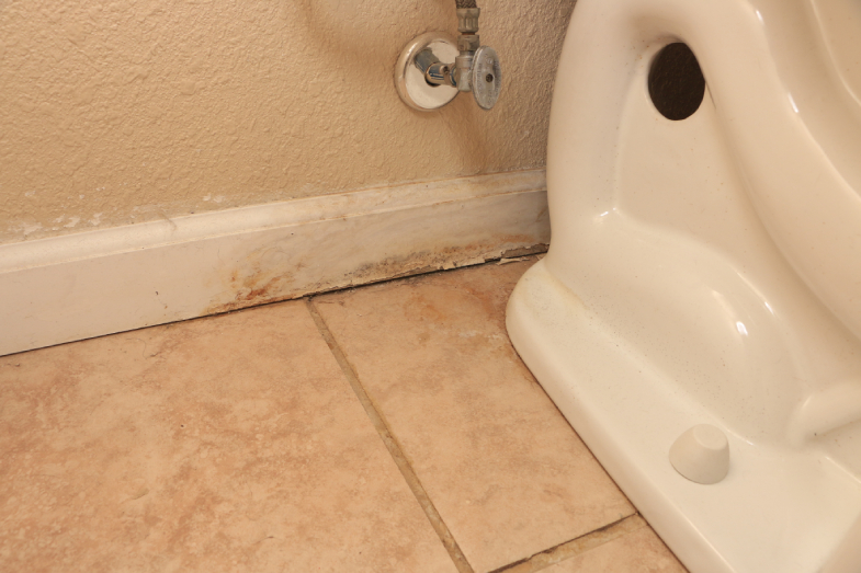 Signs of a Leaky Toilet